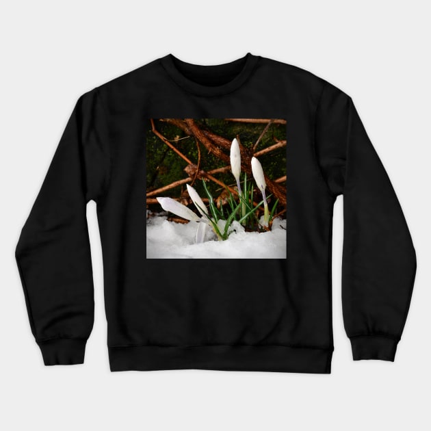 Crocus Crewneck Sweatshirt by RufderFreiheit